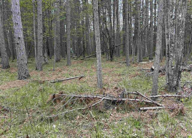 Property at TBD Parcel 2 Paint River Rd, Crystal Falls, MI 49920