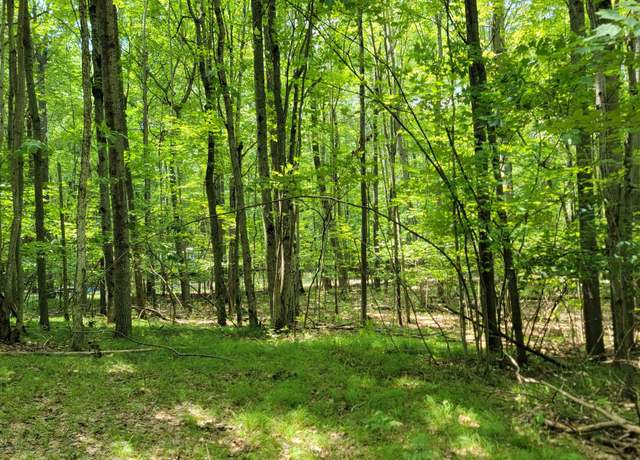 Property at Lot 1314 Spruce Hill Dr, Farwell, MI 48622