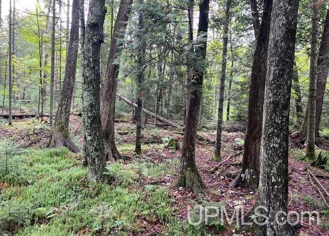 Property at TBD Cable Lake Rd, Amasa, MI 49903