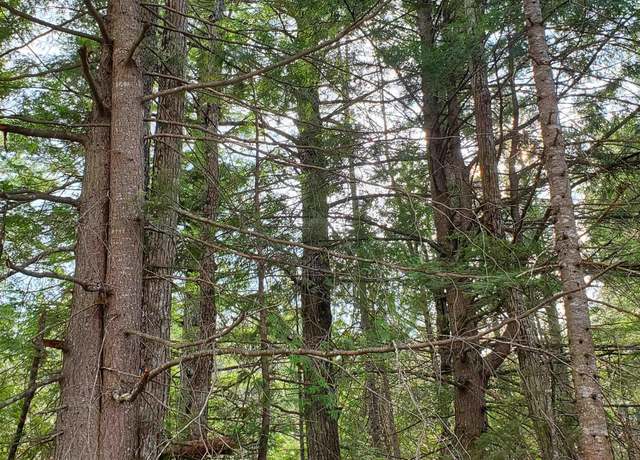 Property at TBD Motley Rd, Nisula, MI 49952