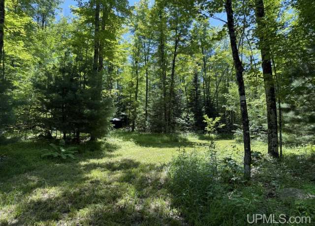 Property at 33.85 Acres Cable Lake Rd, Crystal Falls, MI 49920