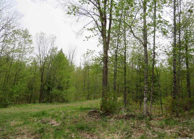 Property at 14108 Fire Tower Rd, Sidnaw, MI 49962