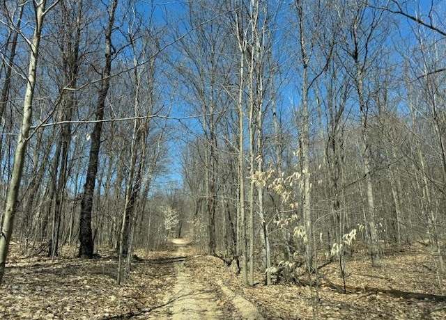 Property at V/L 00 N Turnerville Rd, Lake City, MI 49651
