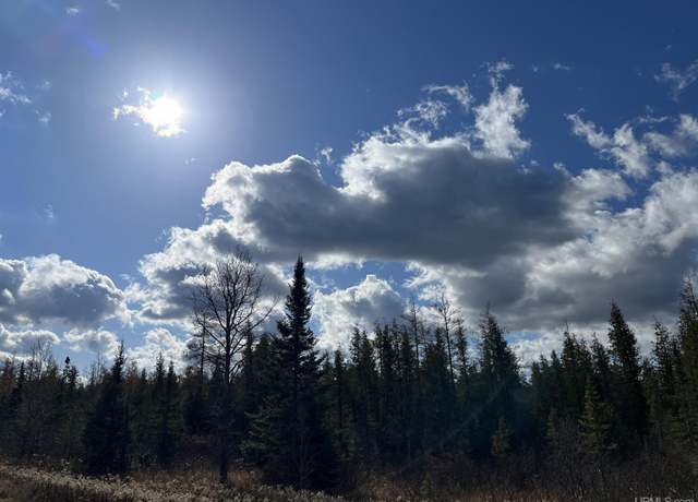 Property at Section 33 off M35 Hwy, Gwinn, MI 49841