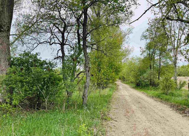 Property at Parcel B1 W Packingham Rd, Manton, MI 49663