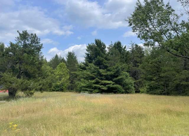 Property at TBD S US41 Hwy, Skandia, MI 49885