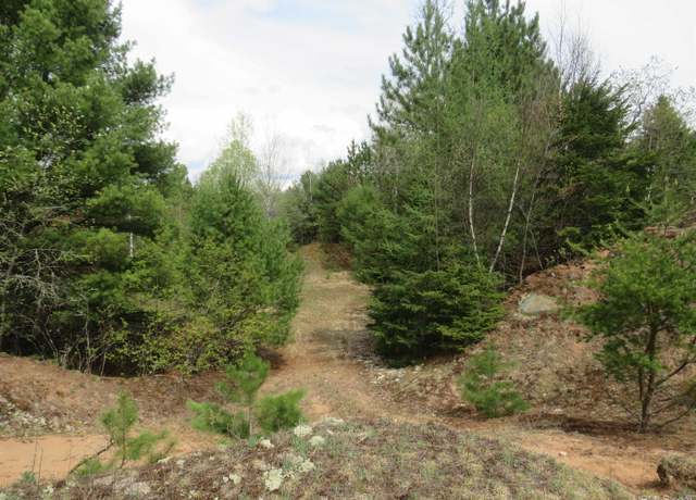Property at TBD Dunham Rd, Marenisco, MI 49947