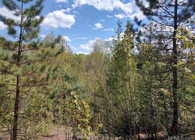 Property at TBD Dunham Rd, Marenisco, MI 49947