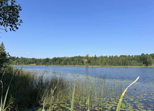 Property at TBD Waucedah Rd, Vulcan, MI 49892