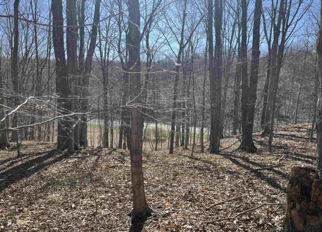 Property at Parcel E Lobb Rd, Frankfort, MI 49635