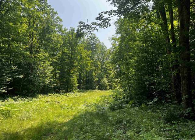 Property at 20 acres Brown Deer Rd, Big Bay, MI 49808