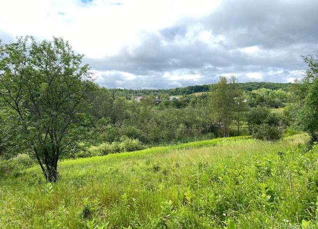 Property at TBD N Fourteenth St, Iron River, MI 49935