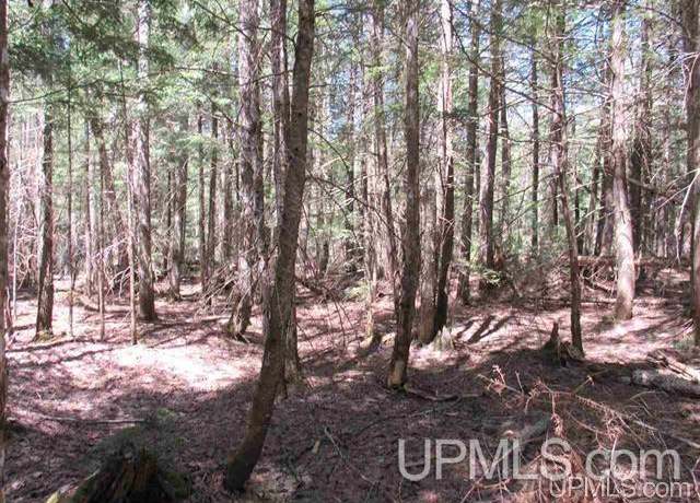 Property at TBD Off Klingville Rd, Chassell, MI 49916