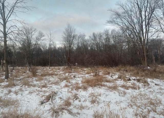 Property at N/A Lentner Rd, Omer, MI 48749