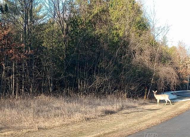 Property at Lot 5 Castleview Ct, Gladwin, MI 48624