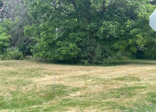 Property at vl E Maple Sts, Saint Charles, MI 48655