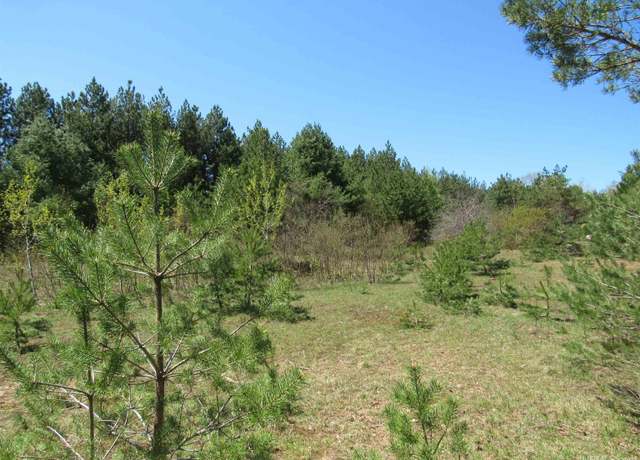 Property at 40 Acres Off Snowmobile Trail 133 Trl, Mohawk, MI 49950