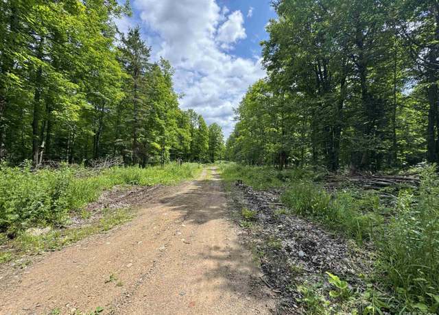 Property at 33 Acres Off Bates Amasa Rd, Crystal Falls, MI 49920