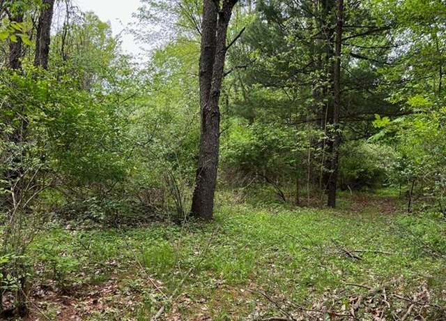 Property at Lake George Lake George Rd, Attica, MI 48412 9789