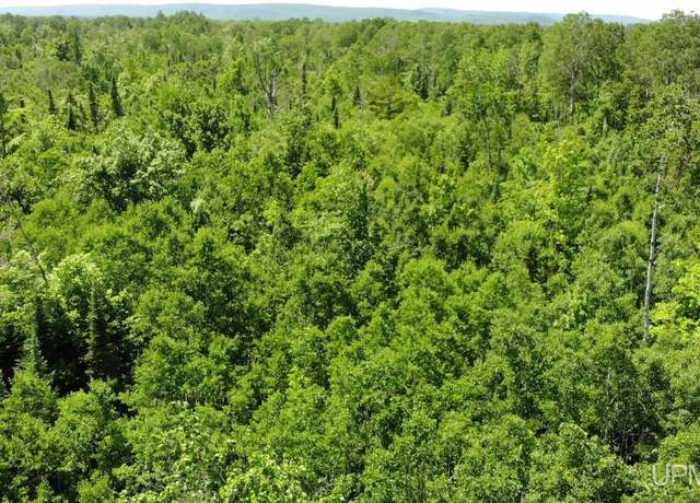 Property at TBD 1 Norwich Rd, Ewen, MI 49925