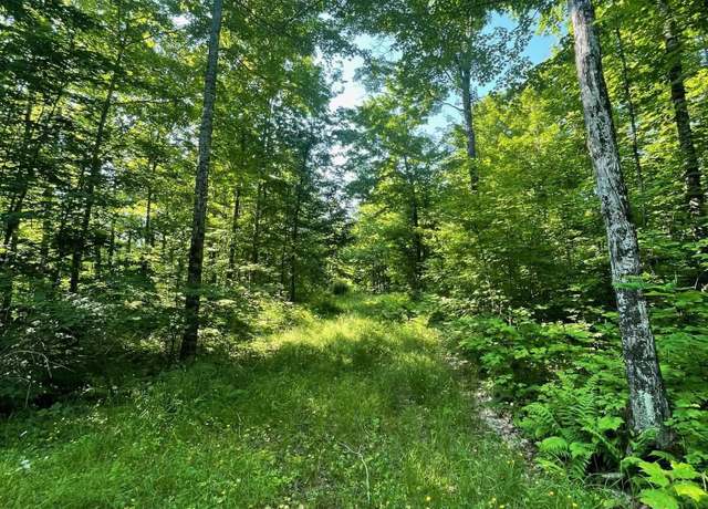 Property at TBD A Off Gay Rd, Lake Linden, MI 49945