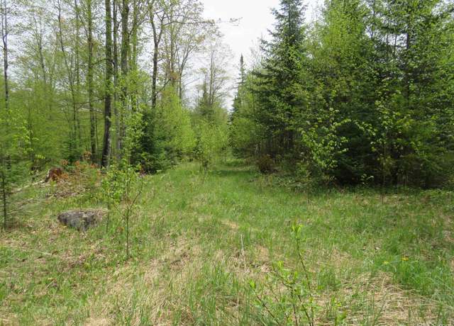 Property at TBD Section 16 Rd, Covington, MI 49919