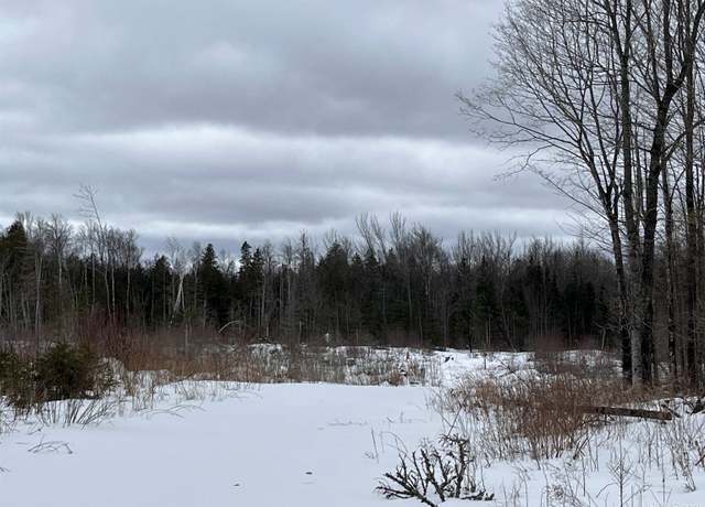 Property at 40 Acres Cr 482 Rd, Ishpeming, MI 49849
