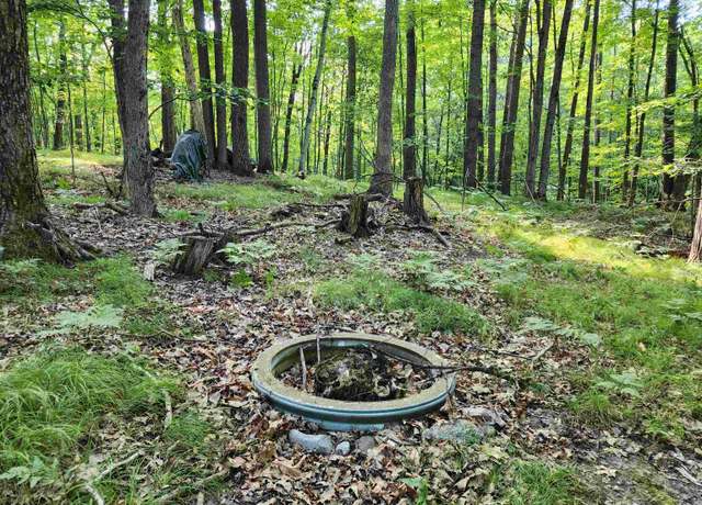 Property at 5296 Fawn Ter, Farwell, MI 48622