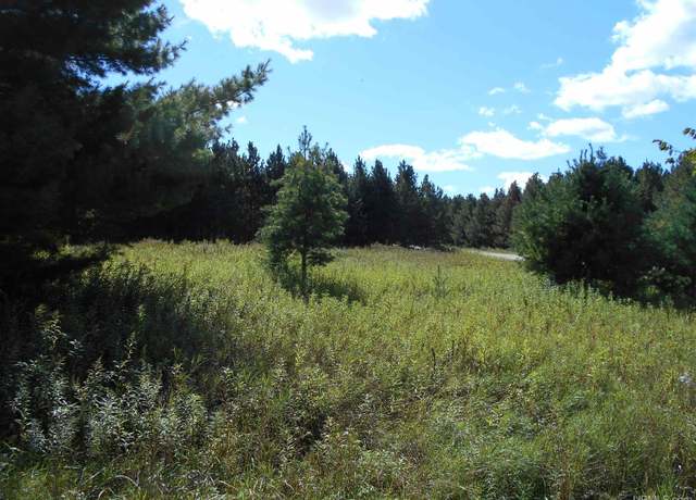 Property at TBD County Road 436 Rd, Gulliver, MI 49840