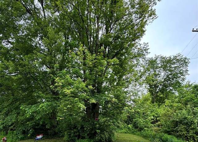 Property at 0000 WAHRMAN St, Romulus, MI 48174