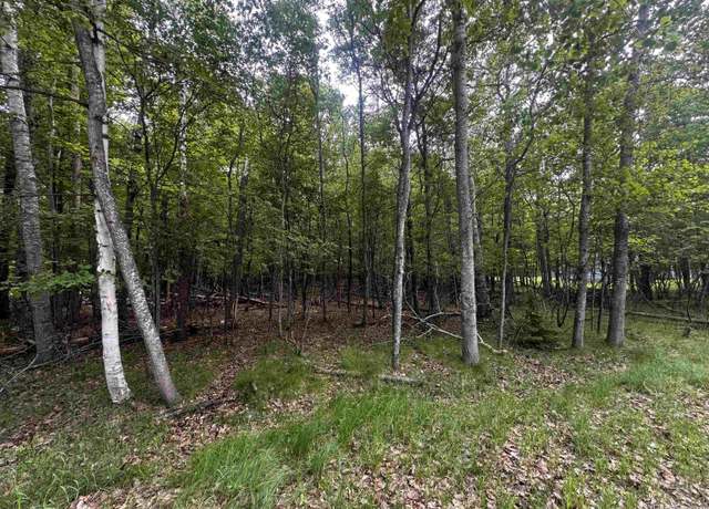 Property at 6039 & 6049 Country Club 19.25 Ln, Gladstone, MI 49837