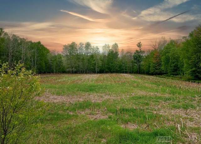 Property at 58+ acres NE County Line Rd, Coleman, MI 48618