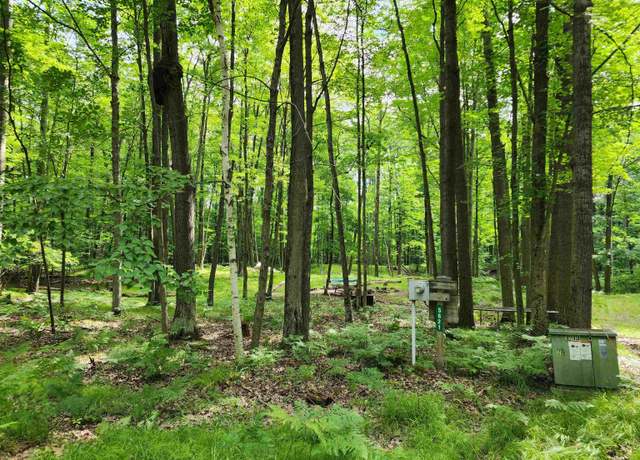 Property at Lot 961 Clover Ter, Farwell, MI 48622