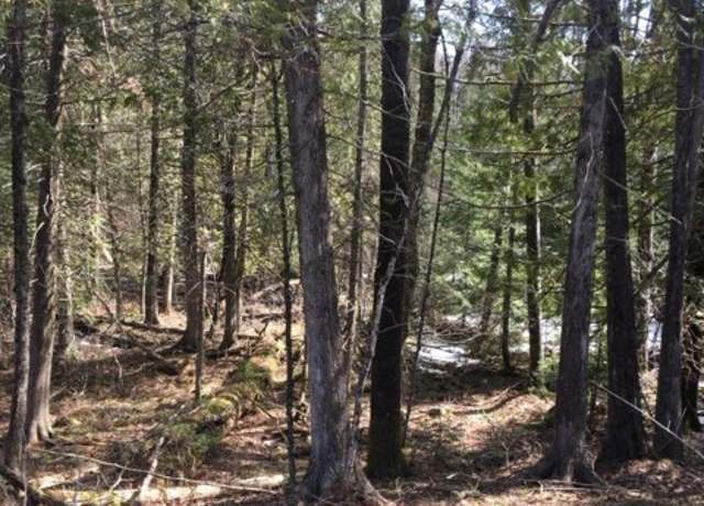 Property at 40 Acres Off Wide Waters Rd, Amasa, MI 49902