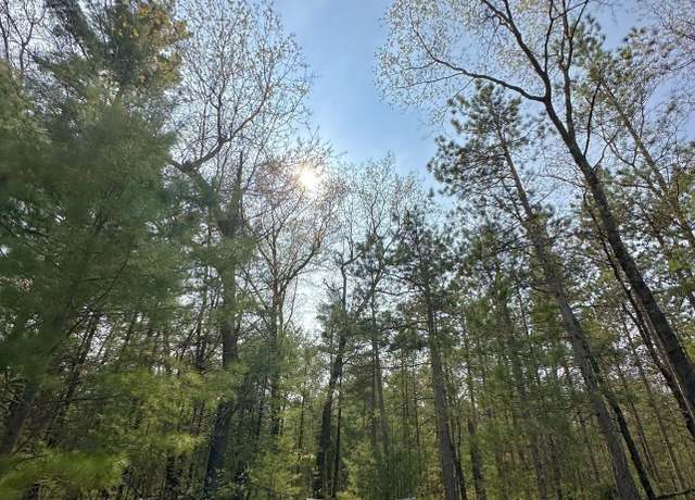 Property at 0 Old Camp Rd, Manistee, MI 49660-9404