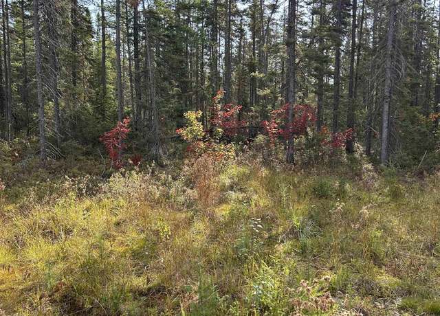 Property at 2662 Acres Marquette County, Ishpeming, MI 49849