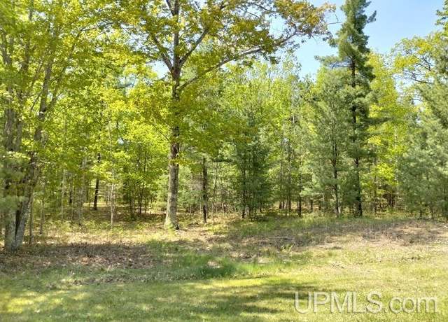 Property at 10441 Breezy R.22 Ln, Rapid River, MI 49878