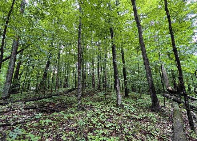 Property at Lot 9 Staceywood Cir Lot : 9, Bellaire, MI 49615