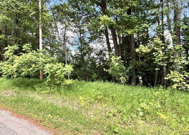Property at V/L River Rd, Oscoda, MI 48750