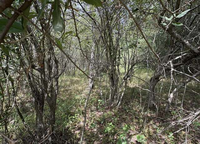 Property at LOT 519 & 520 Lake Miramachi, Evart, MI 49631