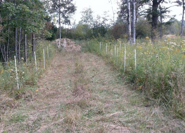 Property at 1950 E Alamando Rds, Coleman, MI 48618