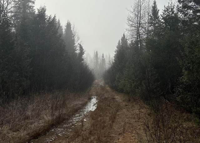 Property at 120 acres Off Dishno Rd, Champion, MI 49814
