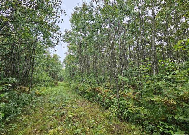 Property at 37.5ac Wide Waters Rd, Crystal Falls, MI 49920