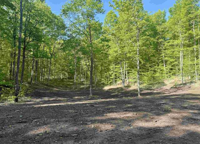 Property at B11 E Solaris Way Lot : B11, Maple City, MI 49664