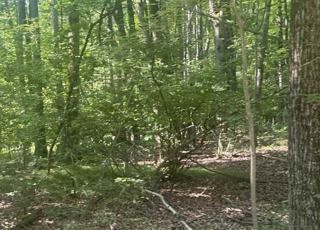 Property at Lot#179 Mockingbird Circle Rd, Farwell, MI 48622