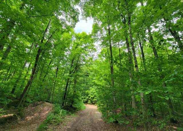 Property at Parcel 4 Stark Rd Lot : 4, Mancelona, MI 49659