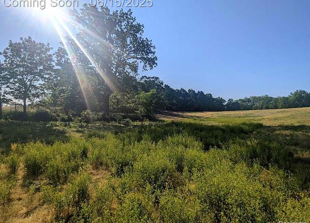Property at Parcel A - Rolston Rd, Linden, MI 48451