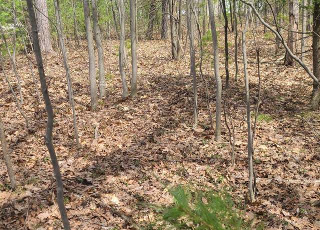 Property at 0001 Laura Ln Lot : 8, Kalkaska, MI 49646
