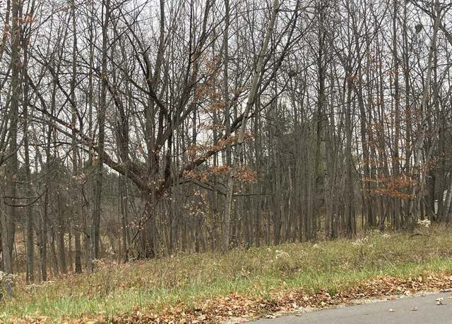 Property at 254 LINKSVIEW Way, Gladwin, MI 48624