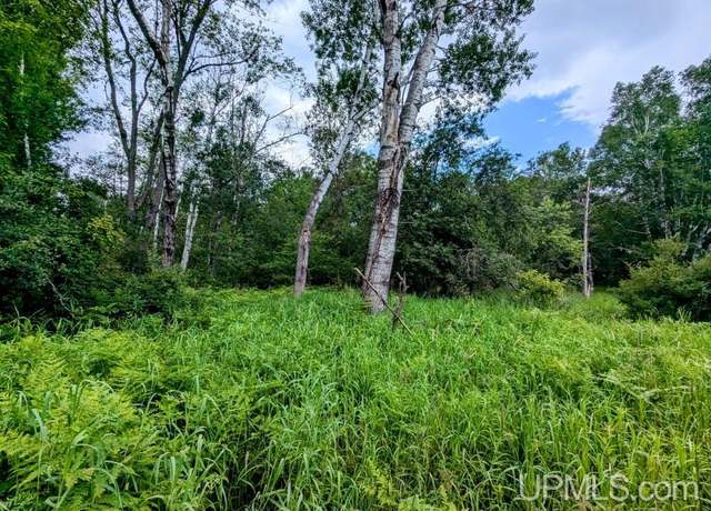 Property at 8.42 acres Fairbanks Rd, Crystal Falls, MI 49920